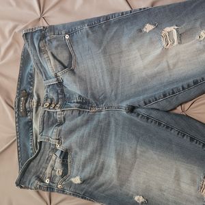 Torrid Jeggings 16 SHORT